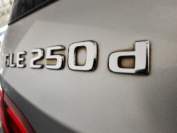 2017 Mercedes-Benz GLE GLE250d full